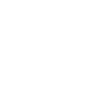 Partnerships that Drive Growth